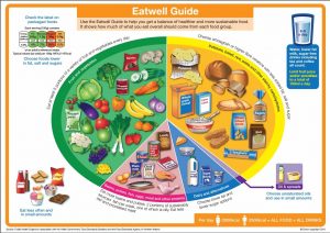 A drawing of a plate showing the recommended proportions of the different food groups